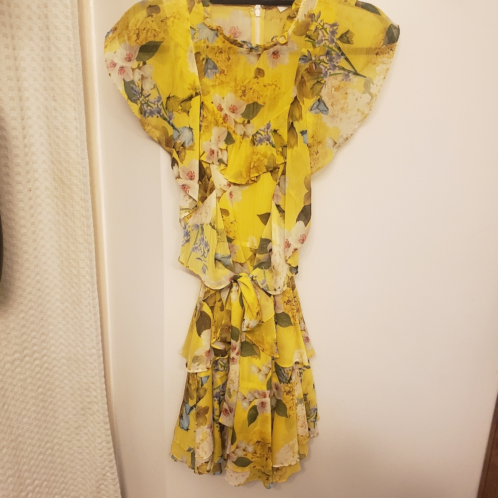 Marissa Webb Chiffon Floral Ruffle Mini Dress Size 4